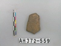 藏品(灰褐色夾砂陶片)的圖片